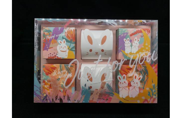 Portable Gift Box Colorful Rabbit 6pcs