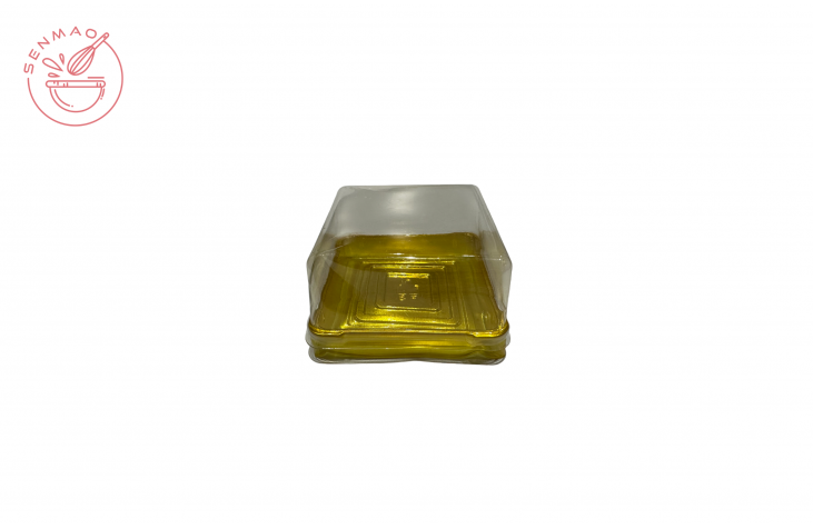 Plastic Transparent Square Box with Golden Base 100g 20pcs