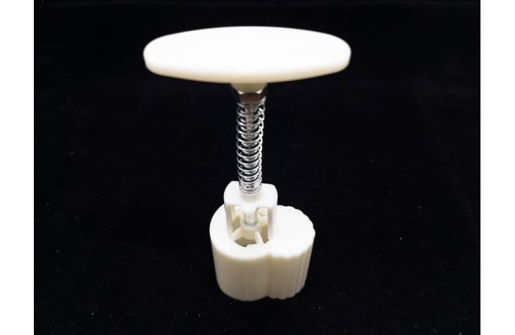 Mid-Autumn Mooncake Festive