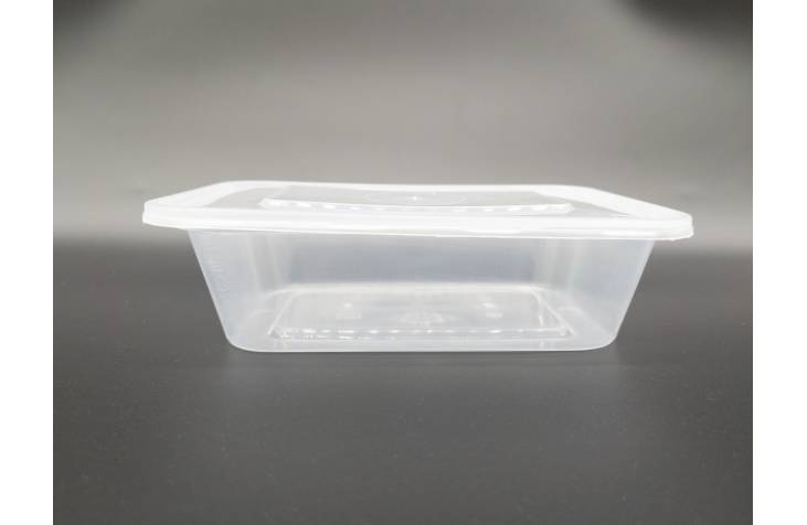 Transparent Container Rectangle / Take Away Food Box / Take Out Packing Box / Disposable Lunch Box 650ml (10pcs)