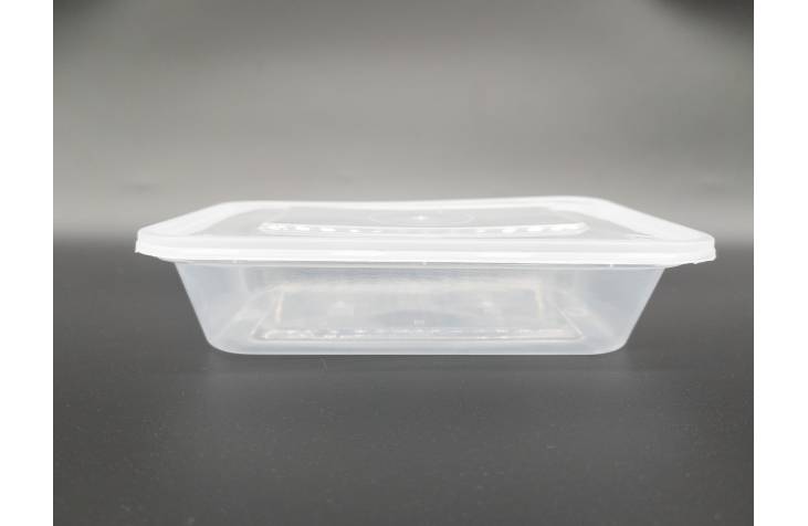 Transparent Container Rectangle / Take Away Food Box / Take Out Packing Box / Disposable Lunch Box 500ml (10pcs)