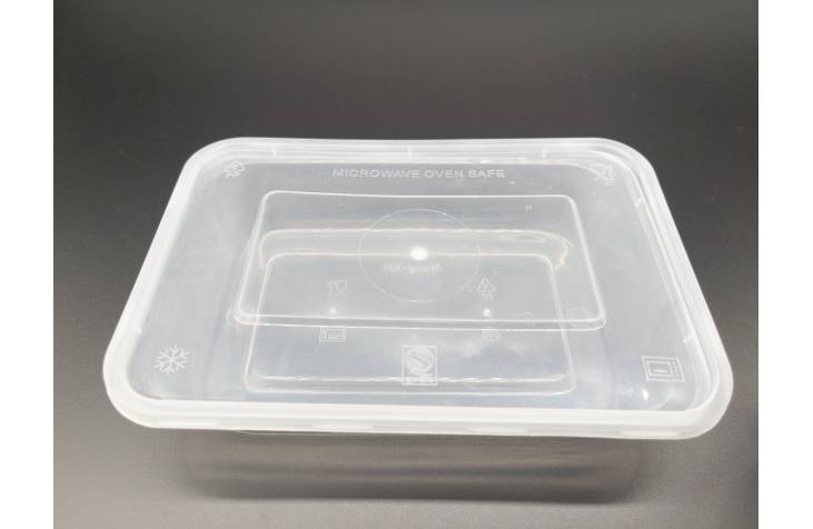 Transparent Container Rectangle / Take Away Food Box / Take Out Packing Box / Disposable Lunch Box 500ml (10pcs)