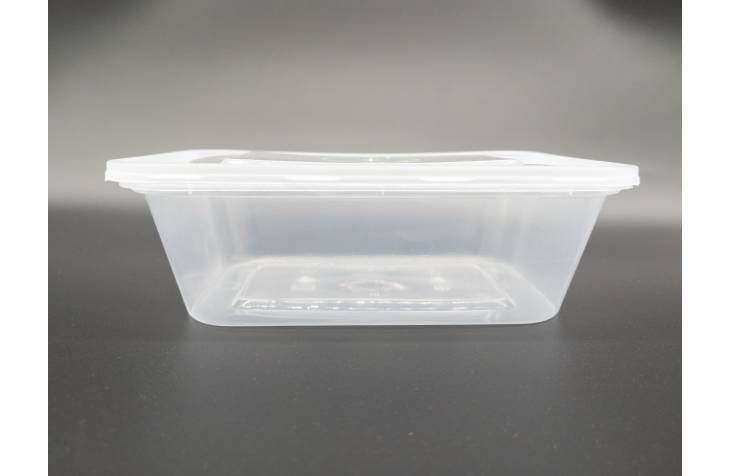Transparent Container Rectangle / Take Away Food Box / Take Out Packing Box / Disposable Lunch Box 750ml (10pcs)